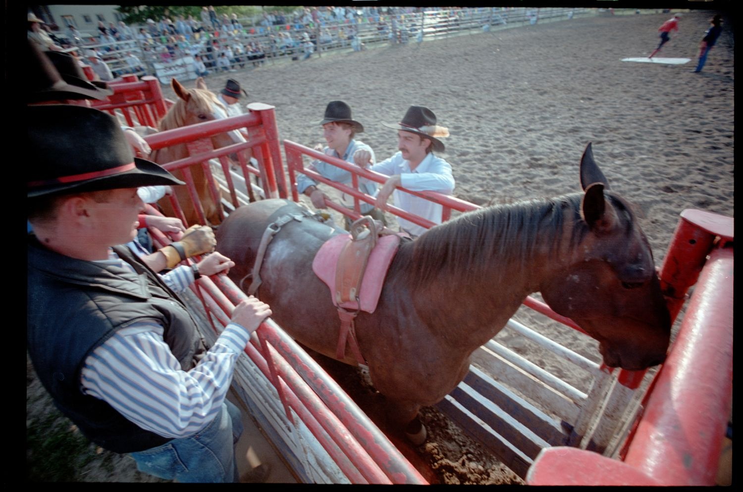 Fotografie: Rodeo auf dem Festplatz Deutsch-Amerikanisches Volksfest in Berlin-Zehlendorf