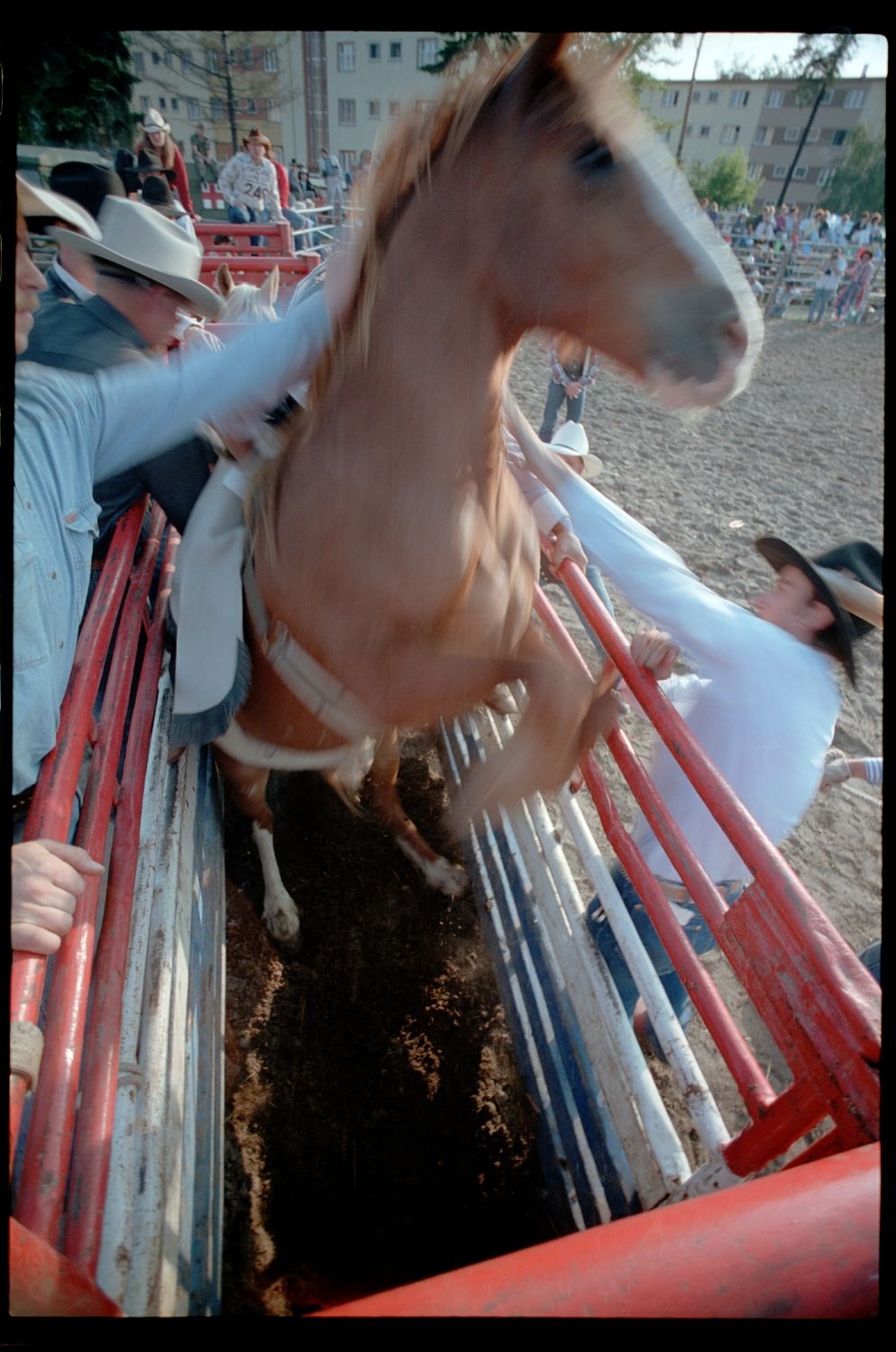 Fotografie: Rodeo auf dem Festplatz Deutsch-Amerikanisches Volksfest in Berlin-Zehlendorf