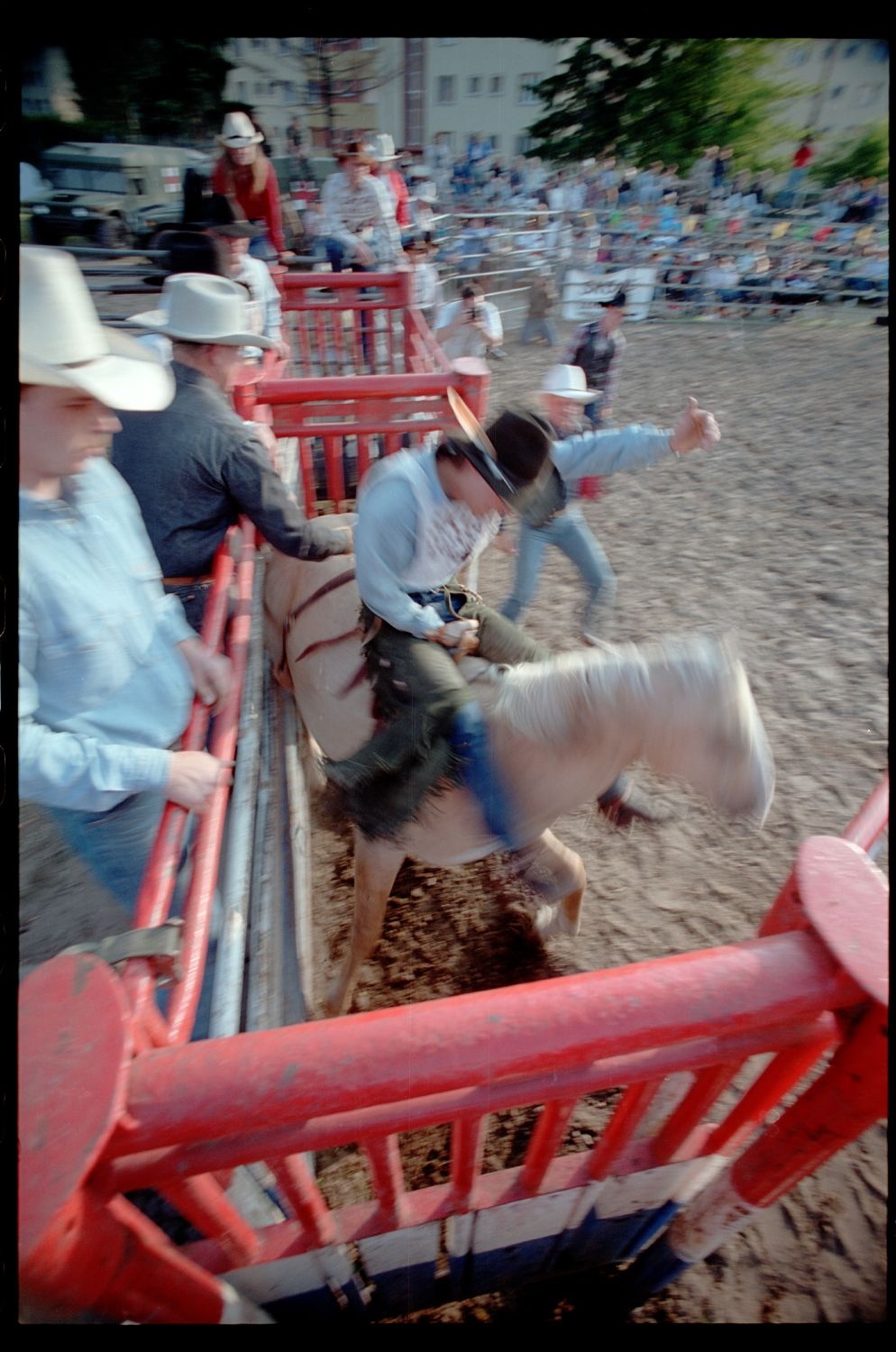 Fotografie: Rodeo auf dem Festplatz Deutsch-Amerikanisches Volksfest in Berlin-Zehlendorf