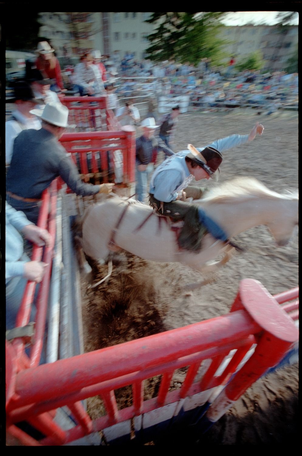 Fotografie: Rodeo auf dem Festplatz Deutsch-Amerikanisches Volksfest in Berlin-Zehlendorf