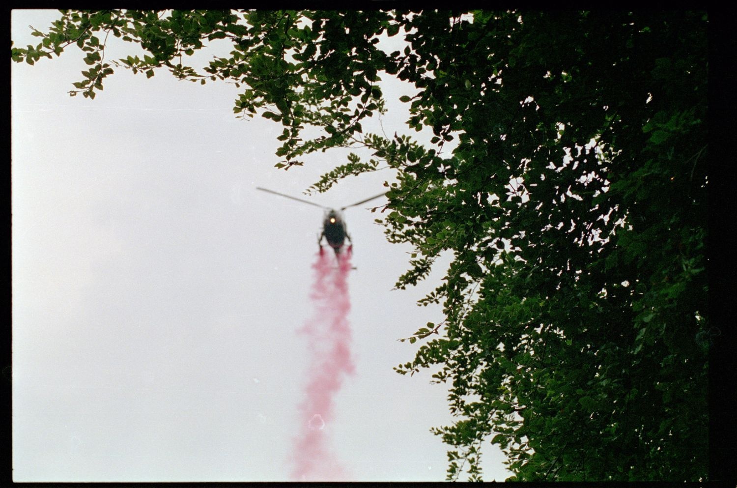 Fotografie: Allied Parade in Berlin-Tiergarten