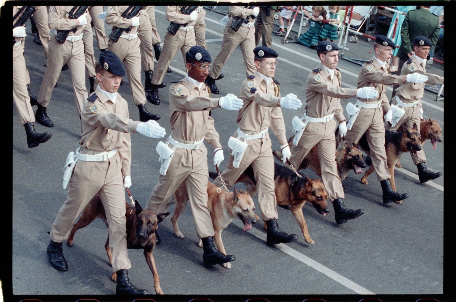 Fotografie: Allied Forces Day Parade in Berlin-Tiergarten