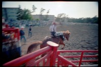 Fotografie: Rodeo auf dem Festplatz Deutsch-Amerikanisches Volksfest in Berlin-Zehlendorf