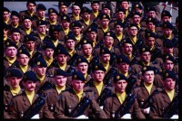 Fotografie: Allied Forces Day Parade in Berlin-Tiergarten