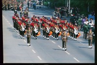 Fotografie: Allied Forces Day Parade in Berlin-Tiergarten