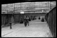 S/w-Fotografie: Schießplatz Rose Range der U.S. Army Berlin Brigade in Berlin-Wannsee
