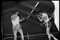 S/w-Fotografie: Boxwettkampf der U.S. Army Berlin Brigade in West-Berlin