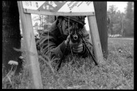 S/w-Fotografie: Interalliierte Geländeübung im Französischen Sektor in West-Berlin