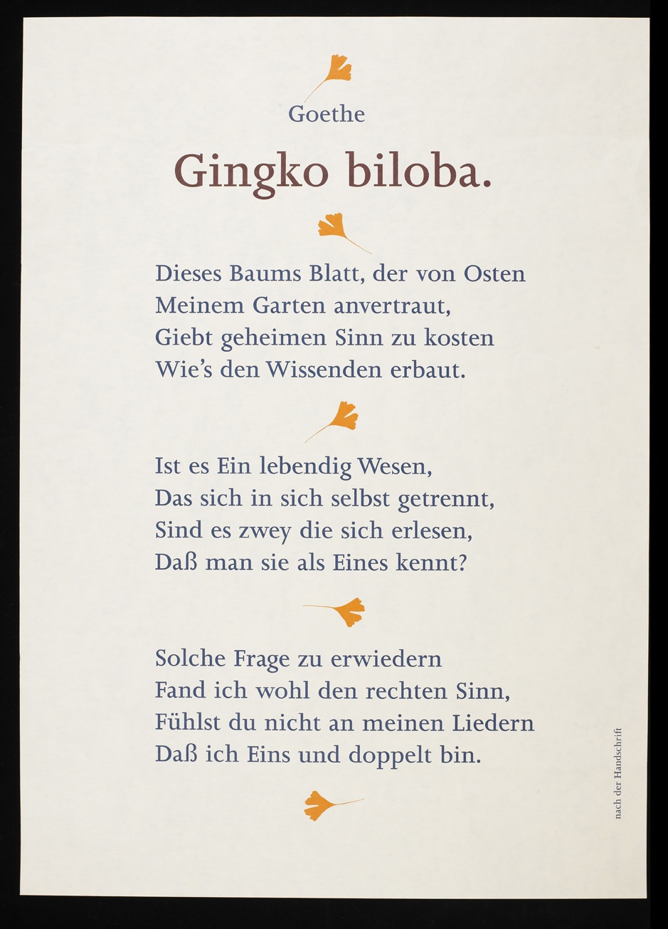Ginkgo biloba :: Freies Deutsches Hochstift / Frankfurter Goethe-Museum