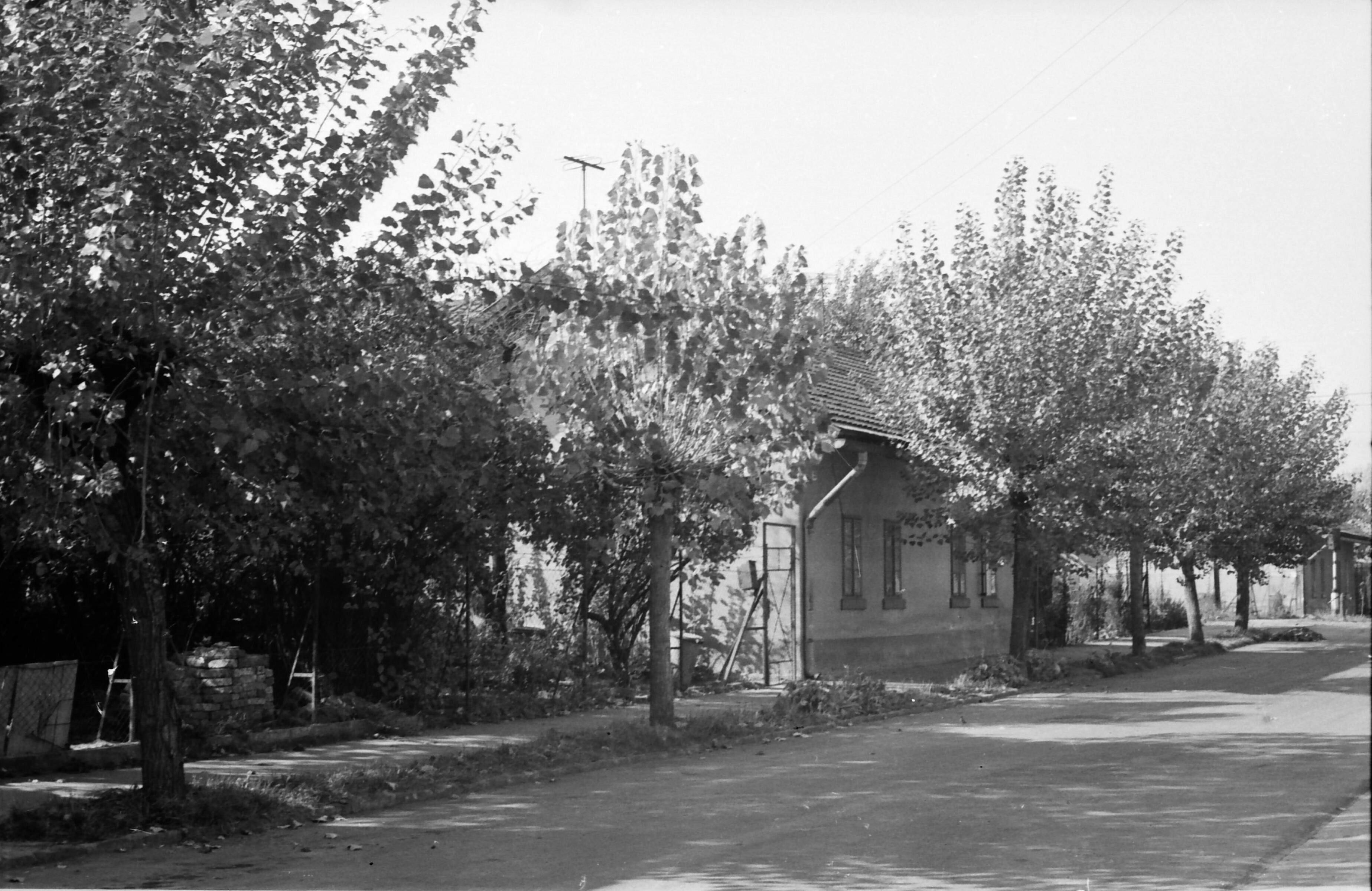 Lakóház, vasgyári lakótelep, Alsószinva utca (MTA BTK Néprajztudományi Intézet CC BY-NC-SA)