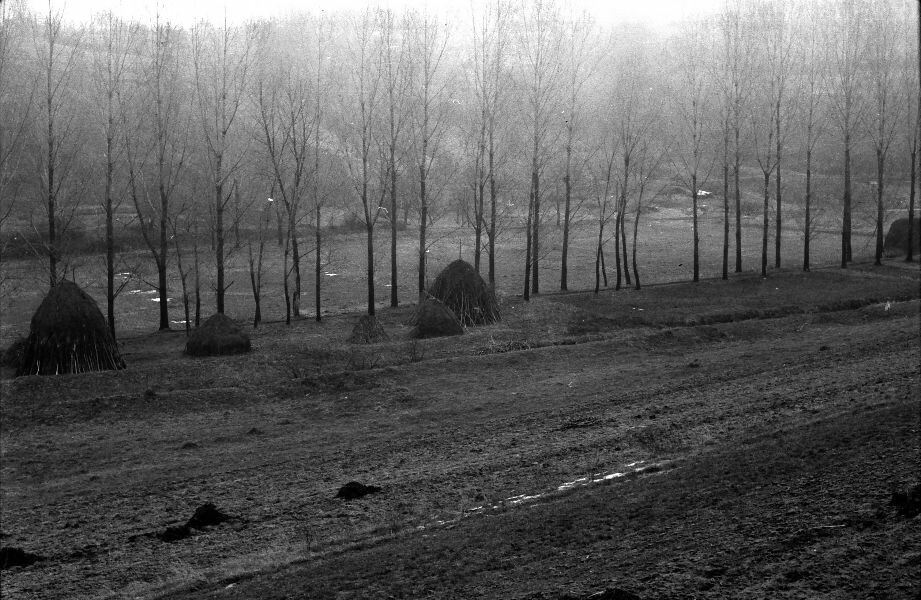 Téli boglyák a mezőn (MTA BTK Néprajztudományi Intézet CC BY-NC-SA)