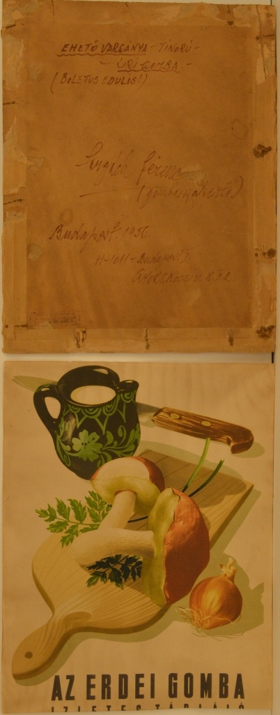 Az erdei gomba (Magyar Kereskedelmi és Vendéglátóipari Múzeum CC BY-NC-SA)