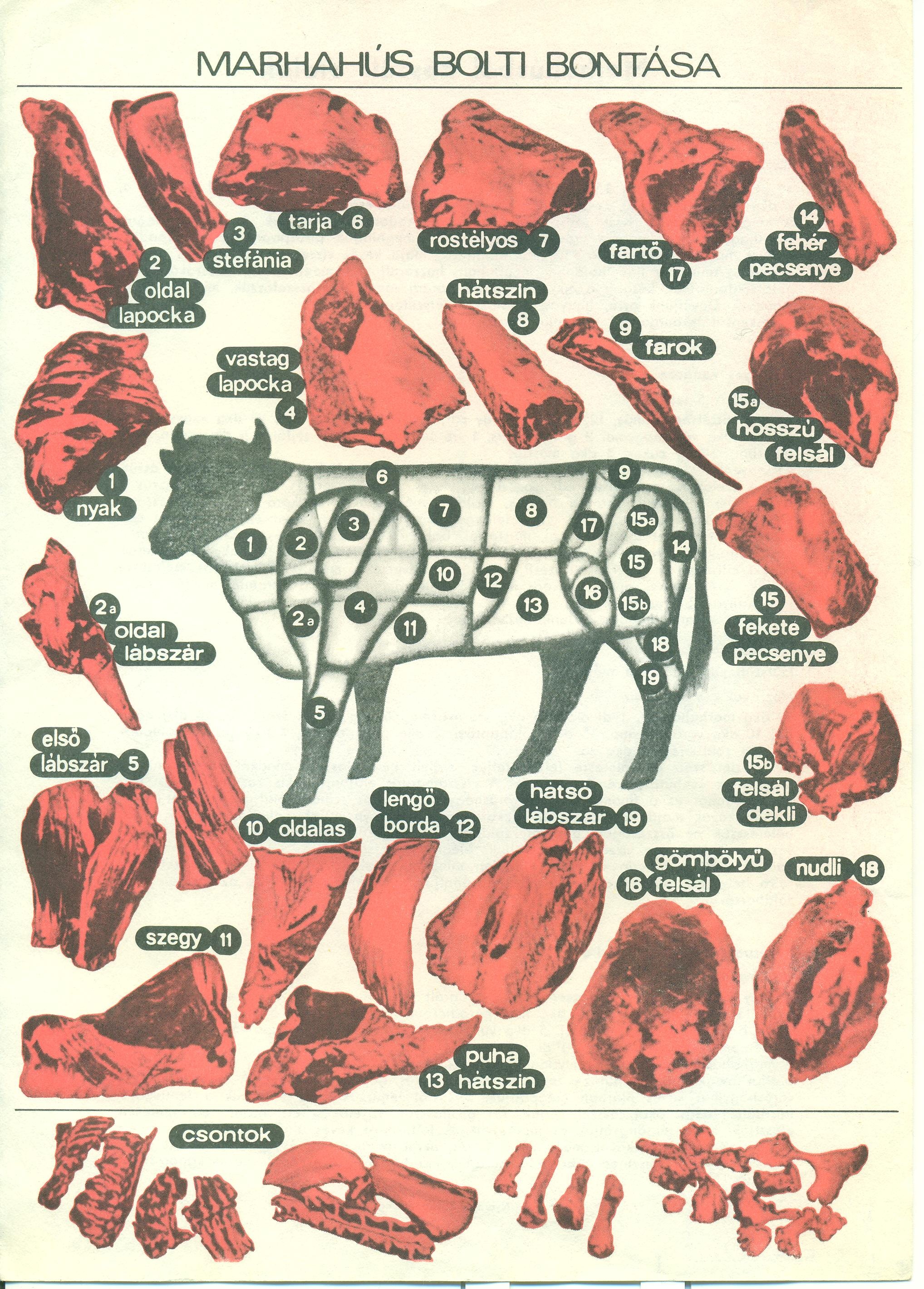 Marhahús reklámlap (Magyar Kereskedelmi és Vendéglátóipari Múzeum CC BY-NC-SA)
