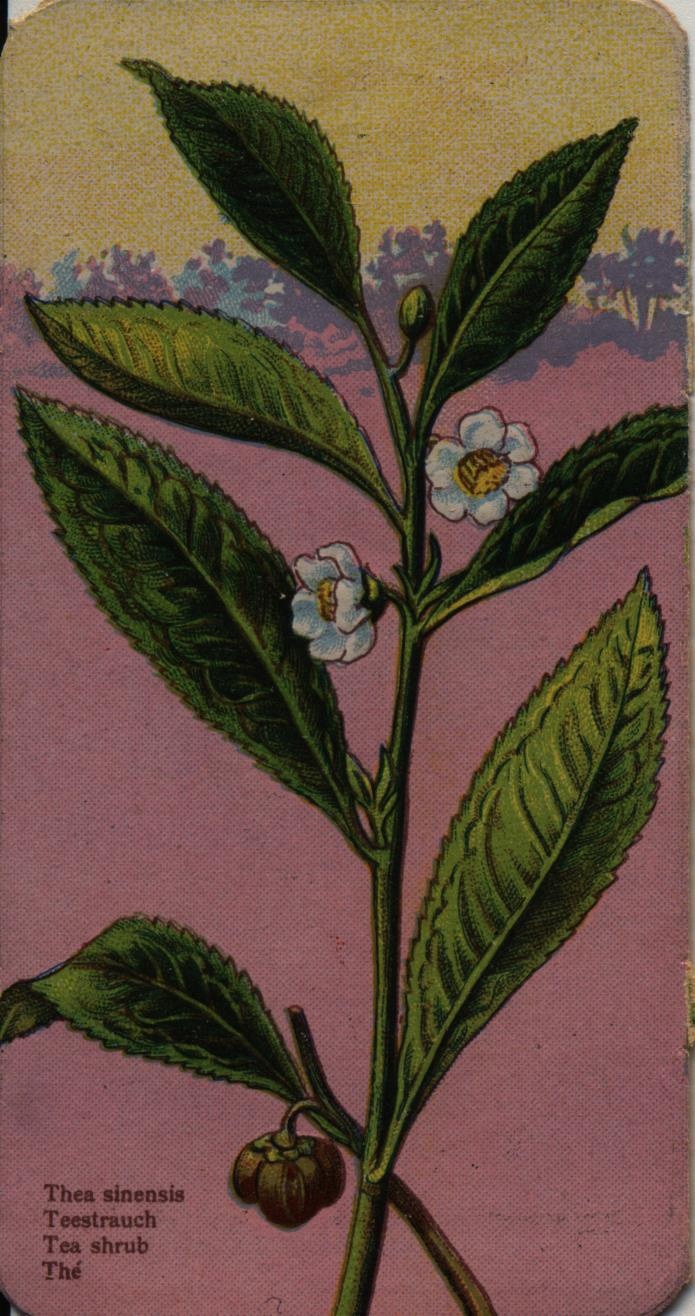 Stühmer kártya (Magyar Kereskedelmi és Vendéglátóipari Múzeum CC BY-NC-SA)
