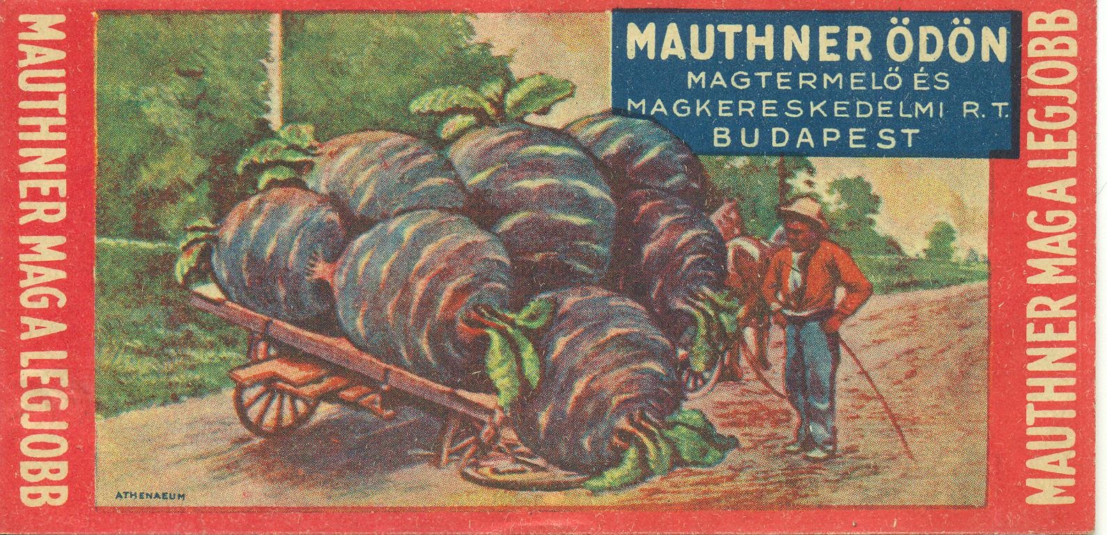 Mauthner Ödön Magtermelő és Magkereskedelmi Rt. (Magyar Kereskedelmi és Vendéglátóipari Múzeum CC BY-NC-SA)