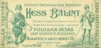 Hess Bálint tisztító-poloskairtó vállalata