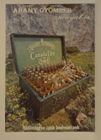 Canada Dry gyömbérízű ital reklámja