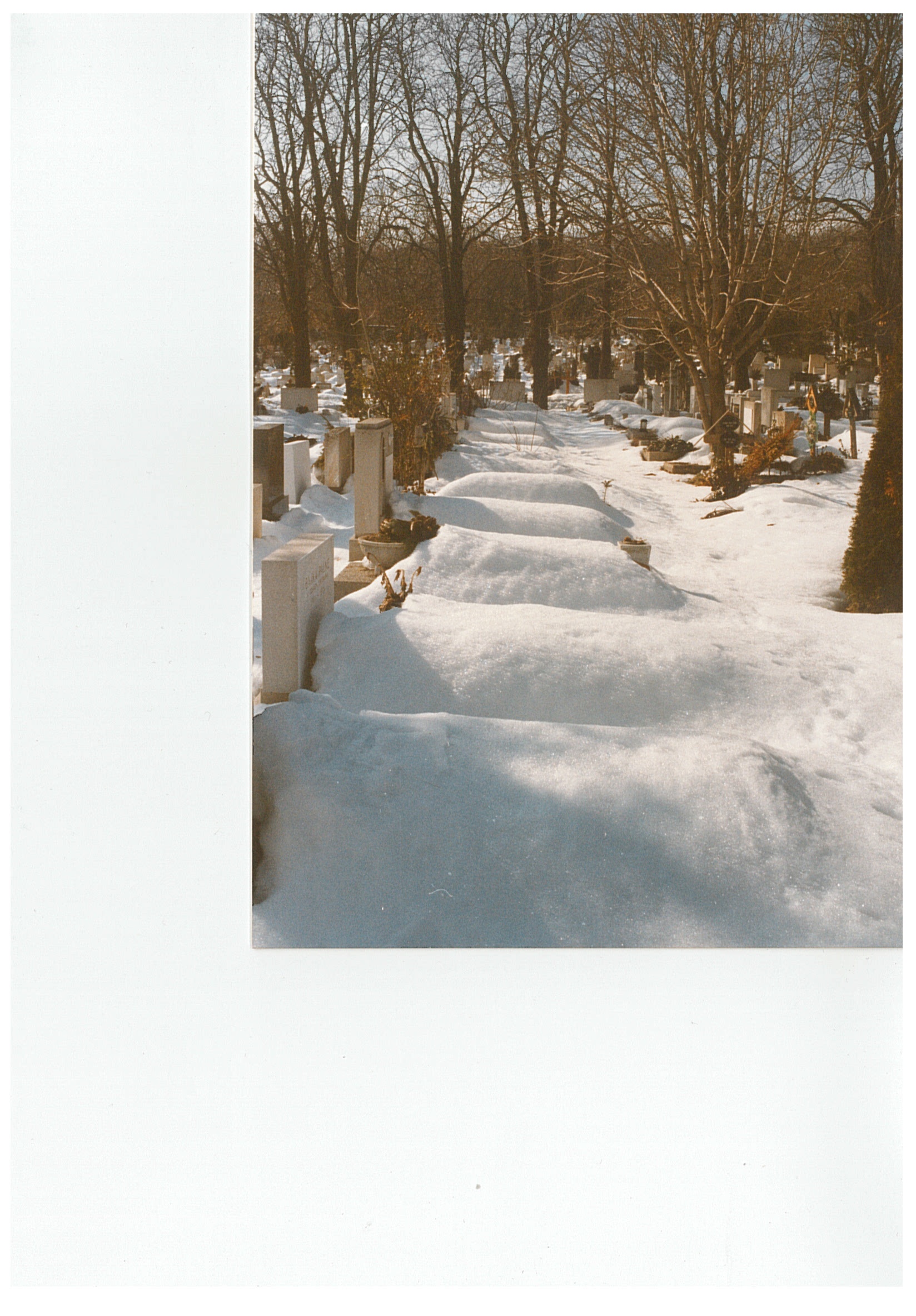 Temetői képek: sírok, hóval borítva (2) (Nemzeti Örökség Intézete – Kegyeleti Múzeum CC BY-NC-SA)