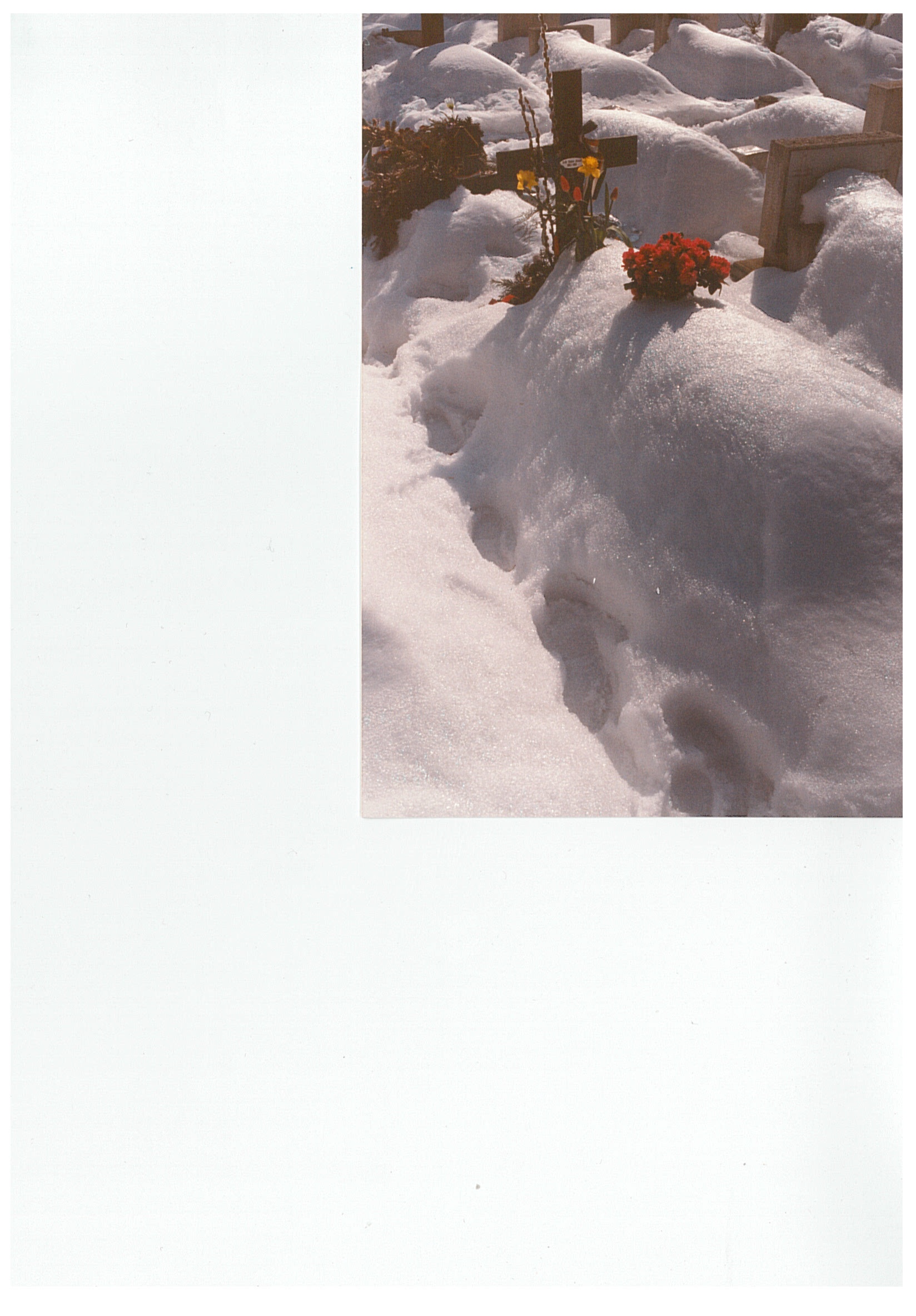 Temetői képek: sírok, havazva (álló kép) (Nemzeti Örökség Intézete – Kegyeleti Múzeum CC BY-NC-SA)