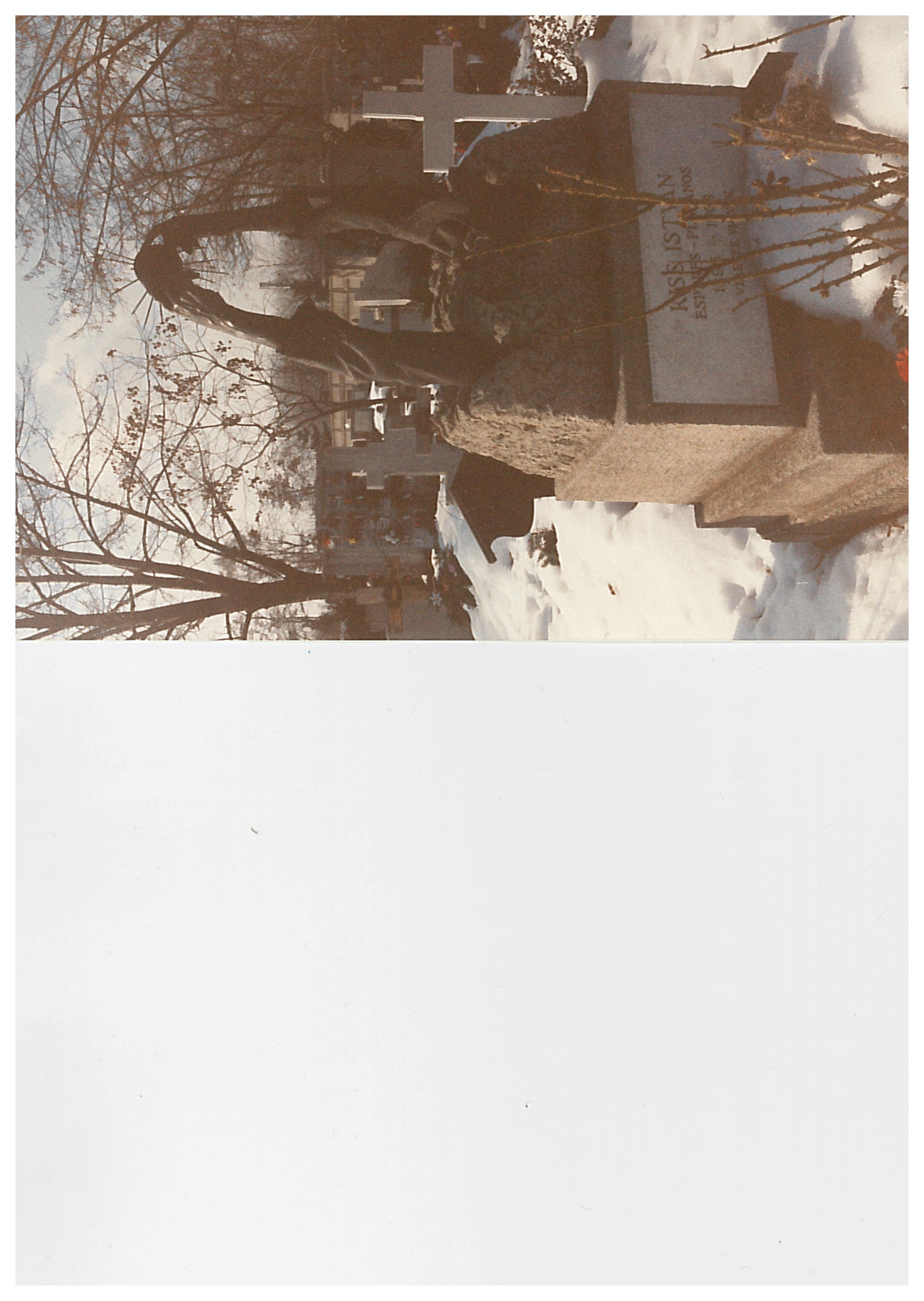 Temetői képek:  Kiss István sírja (Nemzeti Örökség Intézete – Kegyeleti Múzeum CC BY-NC-SA)