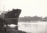 Magyar Hajó- és Darugyár