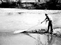 Halászat az Ipolyban, „pentőháló”-val