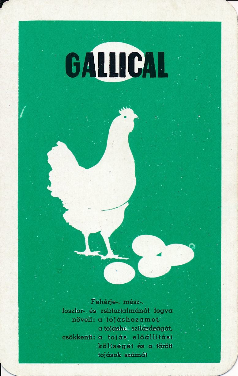 Gallical tojás kártyanaptár 1972 (Magyar Kereskedelmi és Vendéglátóipari Múzeum CC BY-NC-SA)