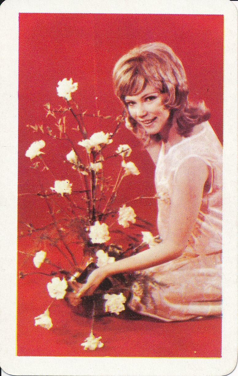 Legszebb ajándék a virág! Debreceni Kertészet  kártyanaptár 1973 (Magyar Kereskedelmi és Vendéglátóipari Múzeum CC BY-NC-SA)