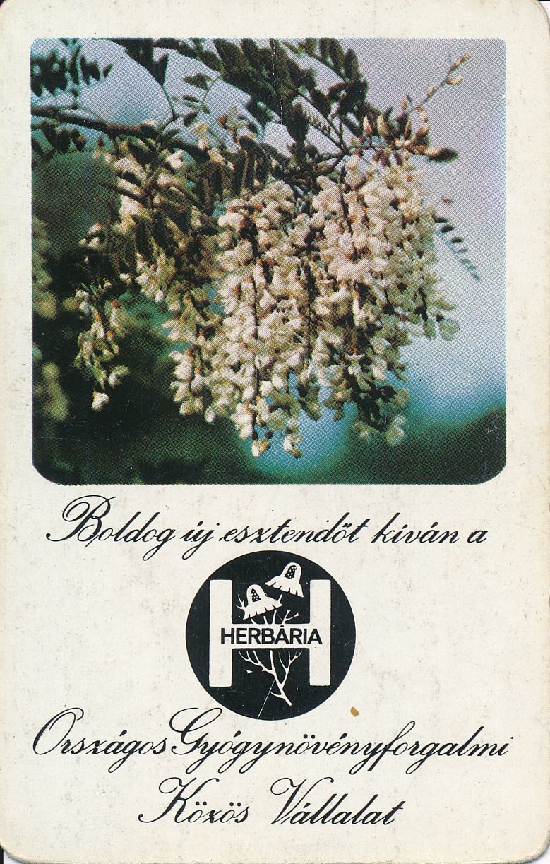 Boldog új esztendőt kíván a Herbária Országos Gyógynövényforgalmi Közös Vállalat kártyanaptár 1978 (Magyar Kereskedelmi és Vendéglátóipari Múzeum CC BY-NC-SA)