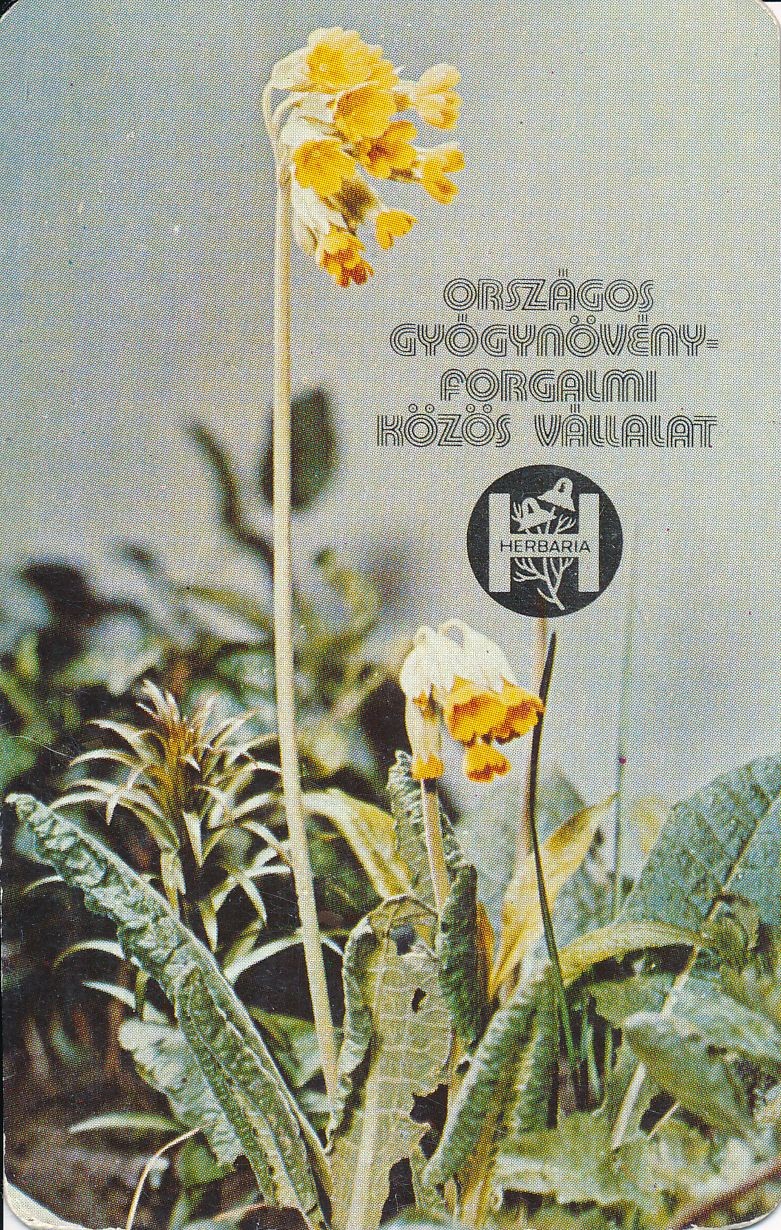 Herbária kártyanaptár 1979 (Magyar Kereskedelmi és Vendéglátóipari Múzeum CC BY-NC-SA)