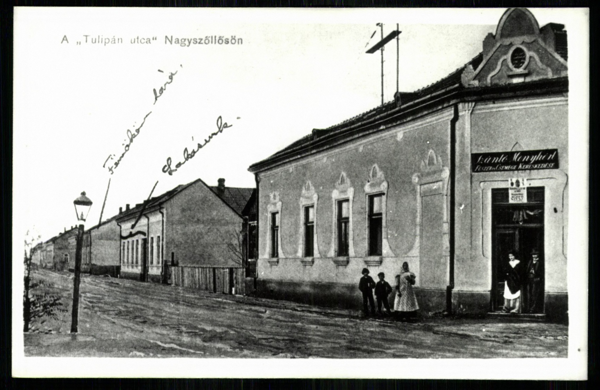 Nagyszőllős; Tulipán utca (Magyar Kereskedelmi és Vendéglátóipari Múzeum CC BY-NC-ND)