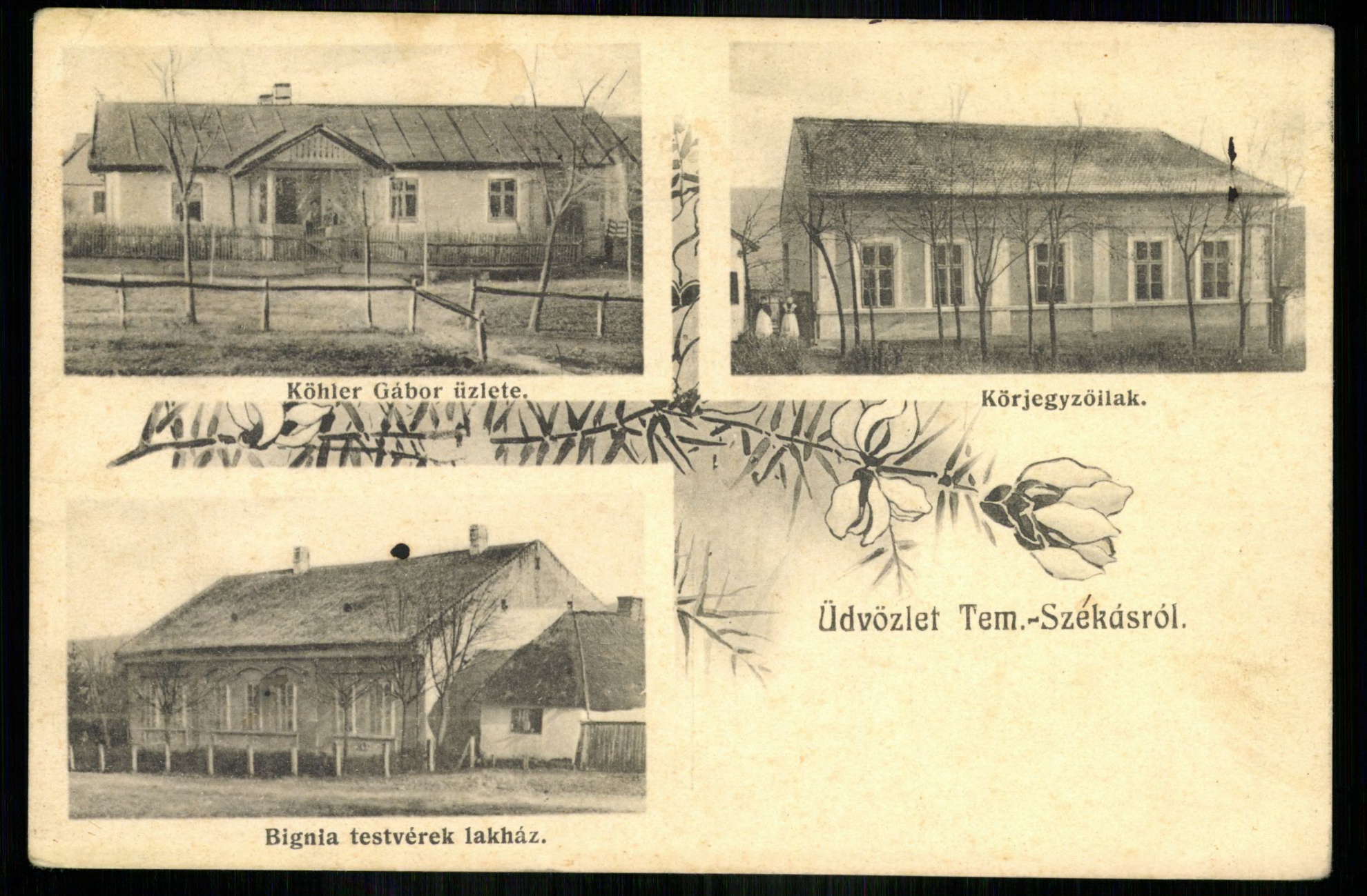 Tem.-Székás; Köhler Gábor üzlete; Körjegyzőlak; Bignia testvérek lakház (Magyar Kereskedelmi és Vendéglátóipari Múzeum CC BY-NC-ND)