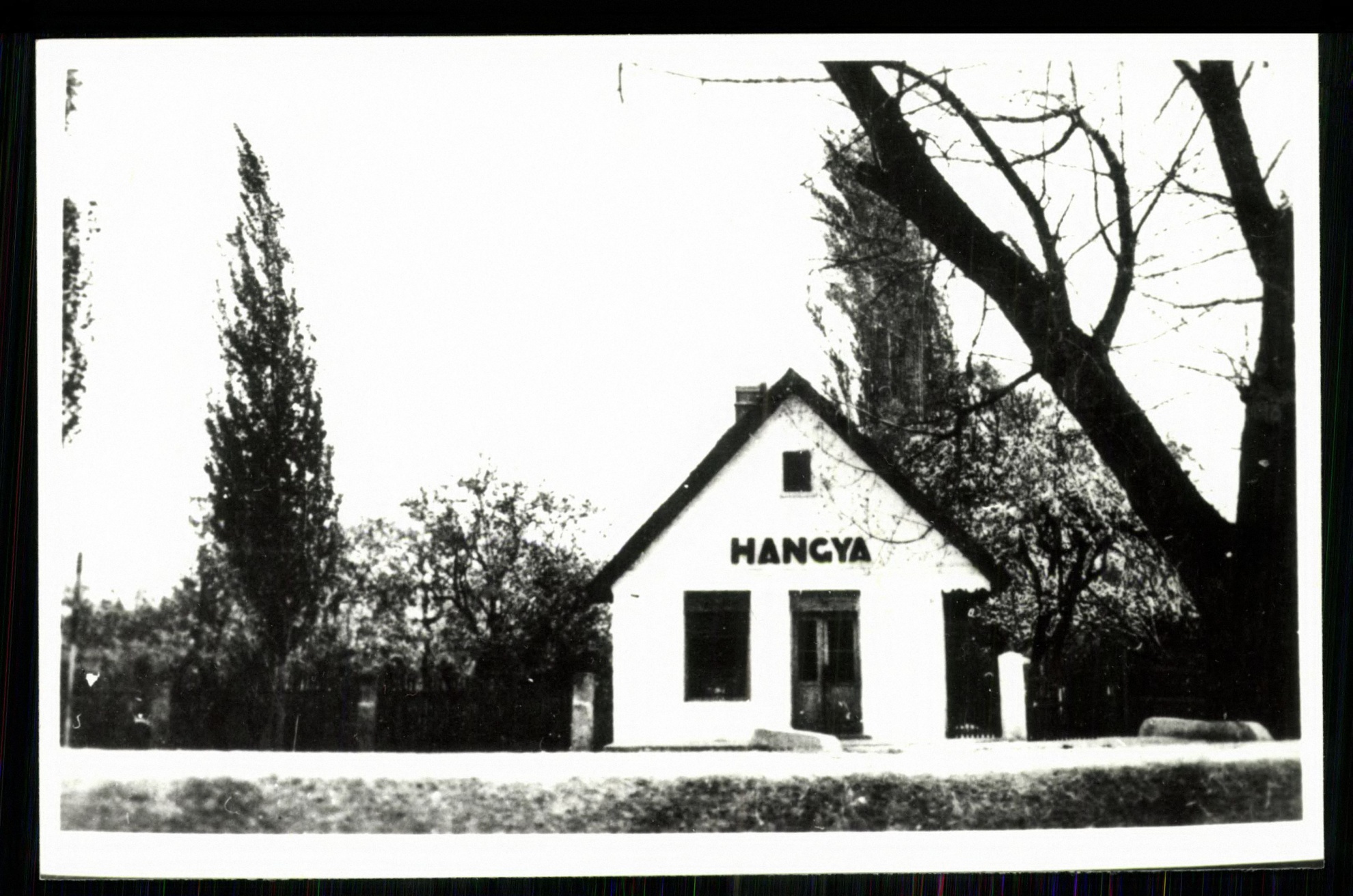 Hangya (Magyar Kereskedelmi és Vendéglátóipari Múzeum CC BY-NC-ND)