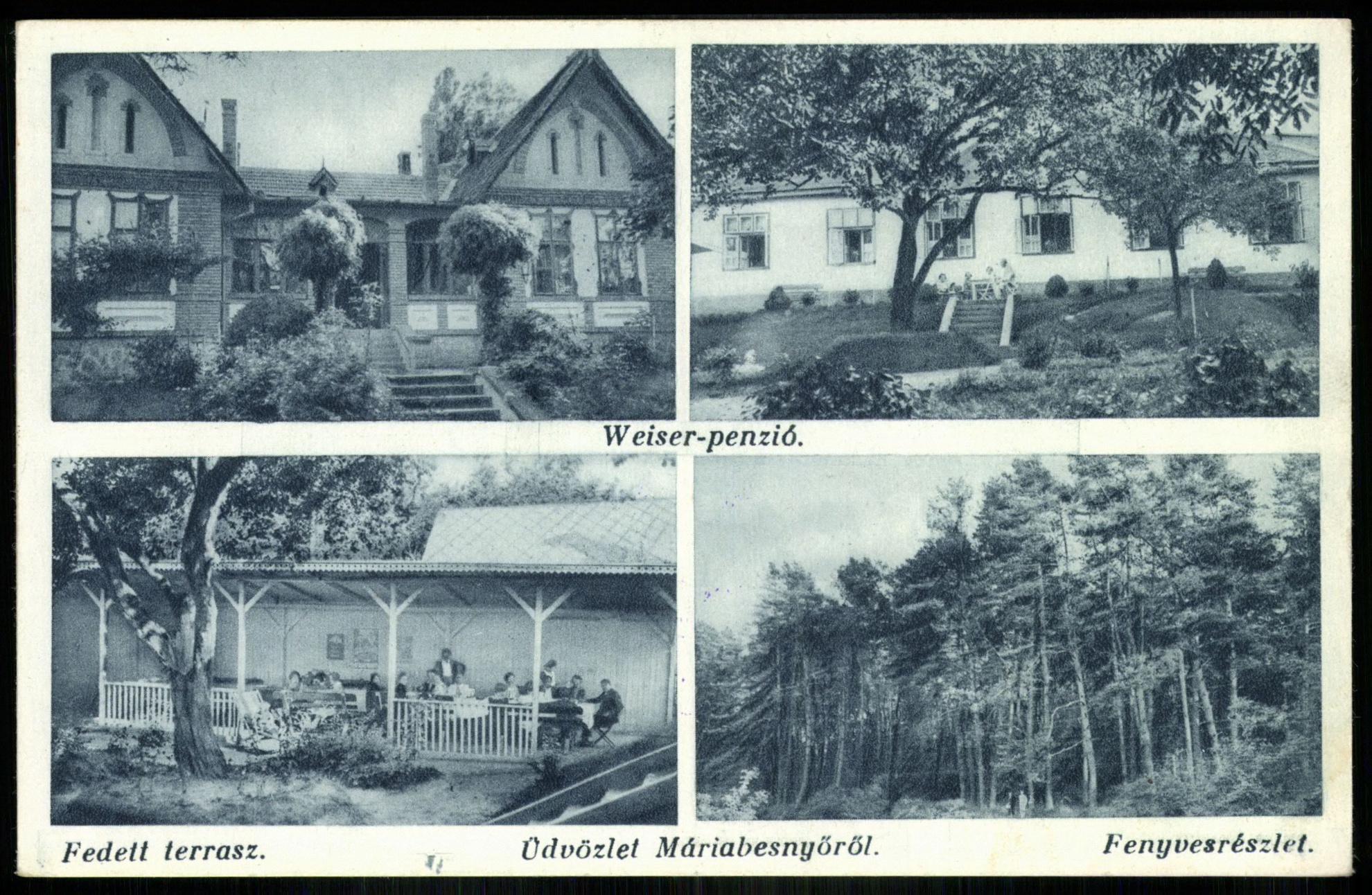 Máriabesnyő Weiser-penzió, Fedett terasz, Fenyvesrészlet (Magyar Kereskedelmi és Vendéglátóipari Múzeum CC BY-NC-ND)