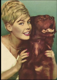 Reklámfotó - Szőke hajú hölgy kutyával