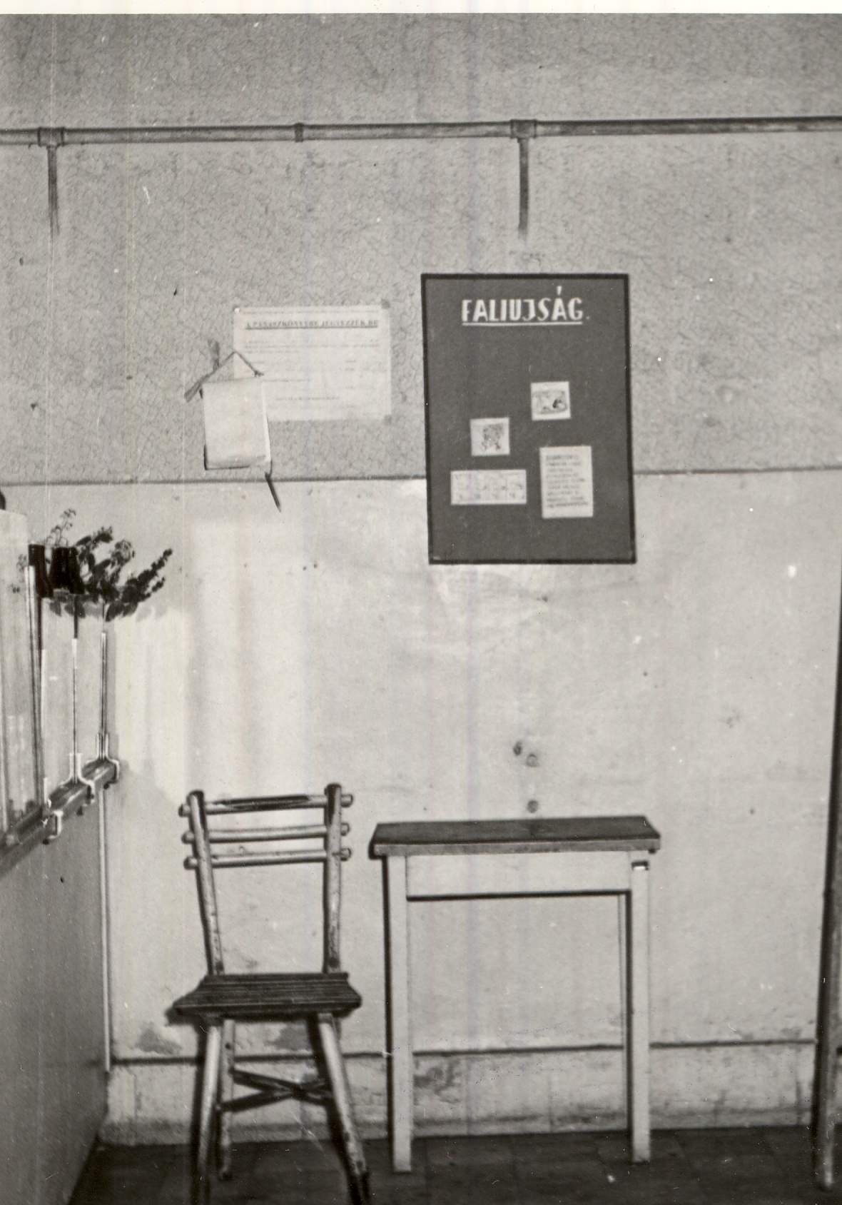 7856. sz. Közért Bolt, Budapest 1959. (Magyar Kereskedelmi és Vendéglátóipari Múzeum CC BY-NC-ND)