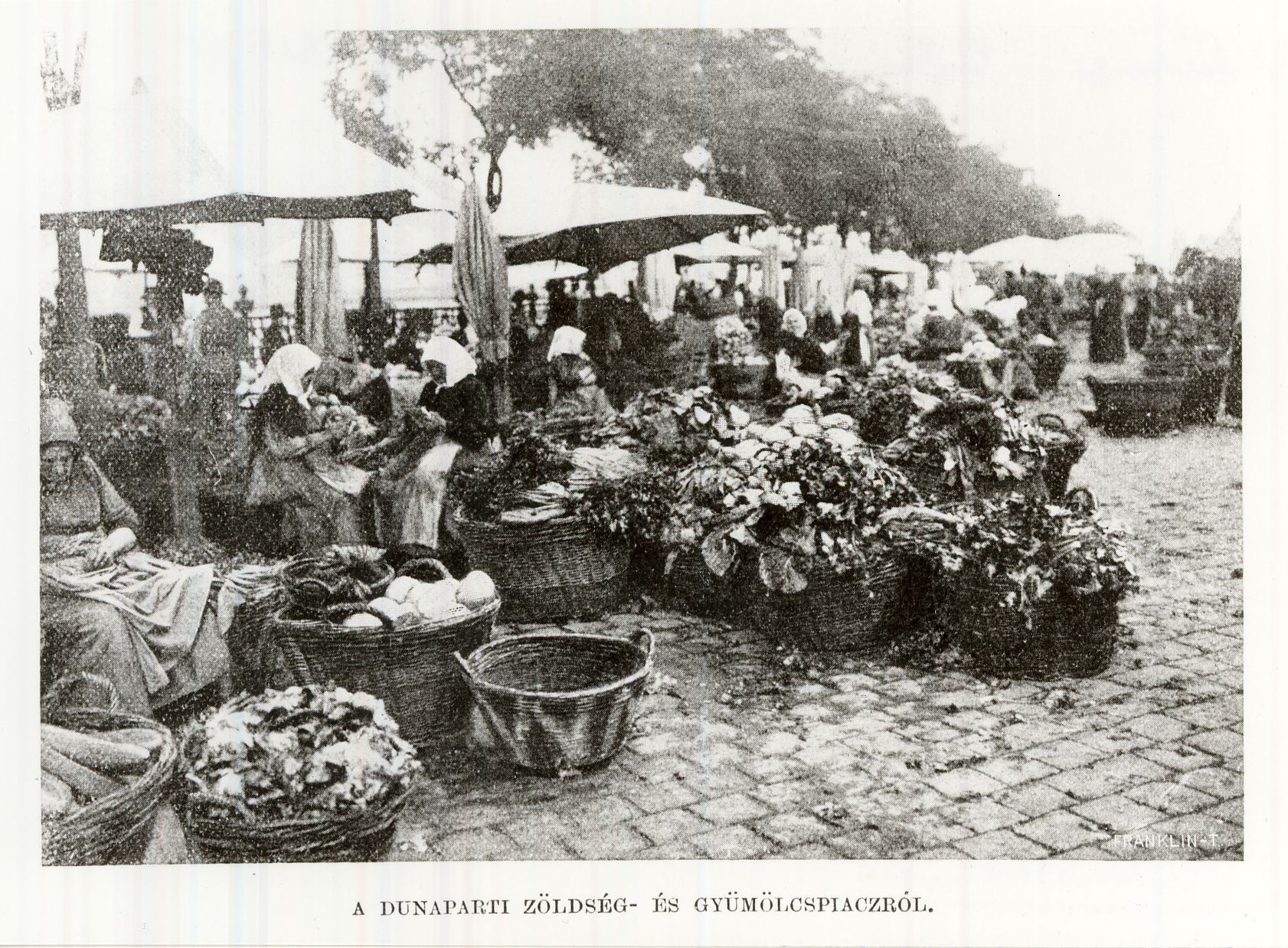 Piac a Dunaparton Budapest 1906. (Magyar Kereskedelmi és Vendéglátóipari Múzeum CC BY-NC-ND)