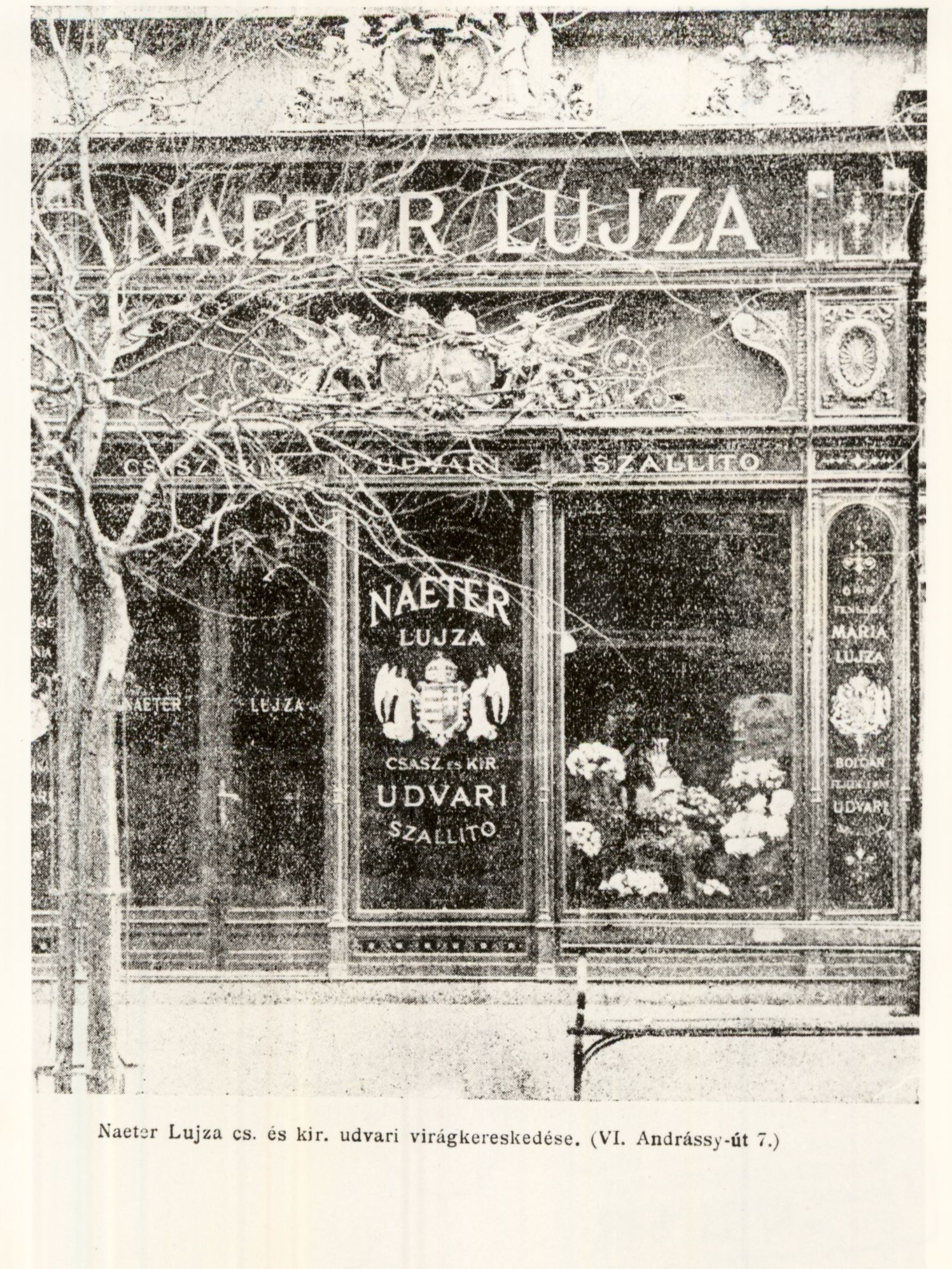 Naeter Lujza Csász. és Kir. Udvari virágkereskedés (Magyar Kereskedelmi és Vendéglátóipari Múzeum CC BY-NC-ND)