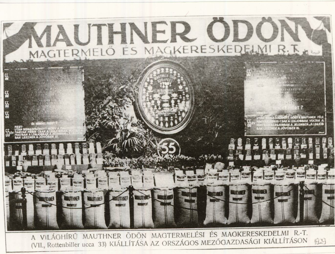 Mauthner (Magyar Kereskedelmi és Vendéglátóipari Múzeum CC BY-NC-ND)