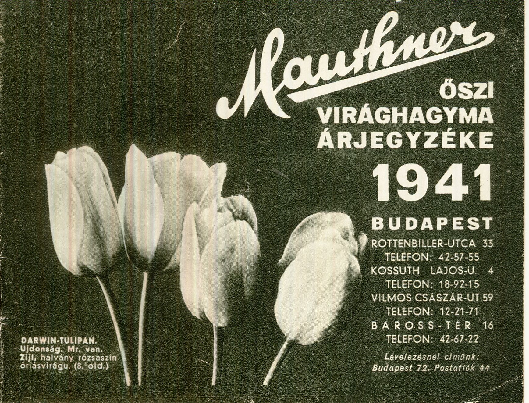 Mauthner ŐSZI VIRÁGHAGYMA ÁRJEGYZÉKE (Magyar Kereskedelmi és Vendéglátóipari Múzeum CC BY-NC-SA)