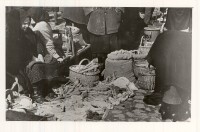 Piac Orosházán 1920-as években