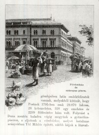 Fővámház és a szárnyas piac, Budapest 1885.