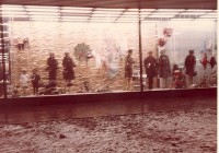 Centrum Áruház Veszprém 1969.