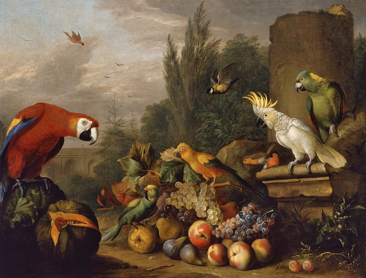 Gyümölcscsendélet papagájokkal és fehér kakaduval (Magyar Nemzeti Galéria CC BY-NC-SA)