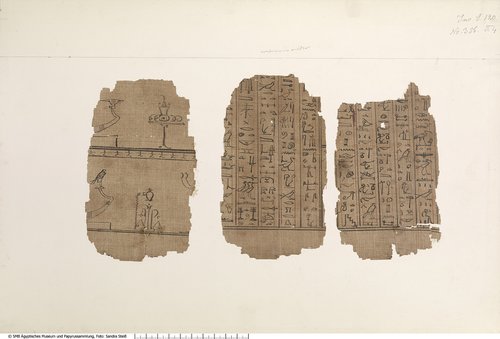 Hieratischer Papyrus mit dem Totenbuch der Ta-iri-Neith (Hieratic papyrus with the Book of the Dead for Ta-iri-Neith)