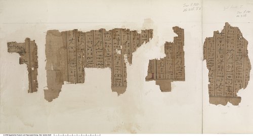 Hieratischer Papyrus mit dem Totenbuch der Ta-iri-Neith (Hieratic papyrus with the Book of the Dead for Ta-iri-Neith)
