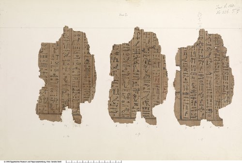 Hieratischer Papyrus mit dem Totenbuch der Ta-iri-Neith (Hieratic papyrus with the Book of the Dead for Ta-iri-Neith)