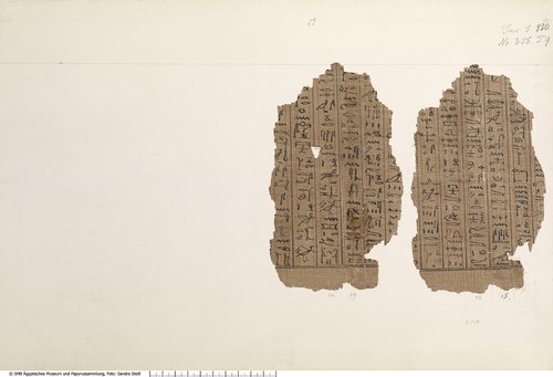 Hieratischer Papyrus mit dem Totenbuch der Ta-iri-Neith (Hieratic papyrus with the Book of the Dead for Ta-iri-Neith)