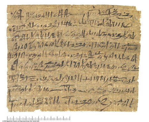 Hieratischer Papyrus mit einem Brief des Generals Pianchi an den Beamten Pai-schu-uben (Hieratic papyrus with a letter of general Pianchi to the official Pai-schu-uben)